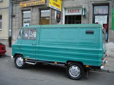 Жук зеленый 1.jpg