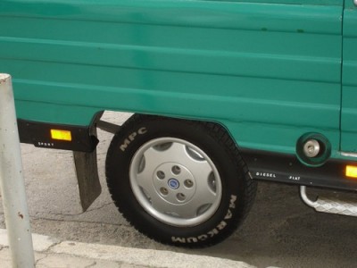 Жук зеленый 2.jpg