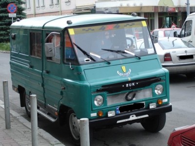 Жук зеленый 4.jpg