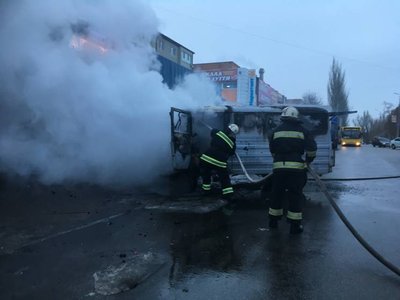 Жук пожар 2.jpg