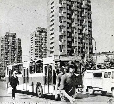 Ныса 1.jpg