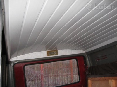 потолок Жук.jpg