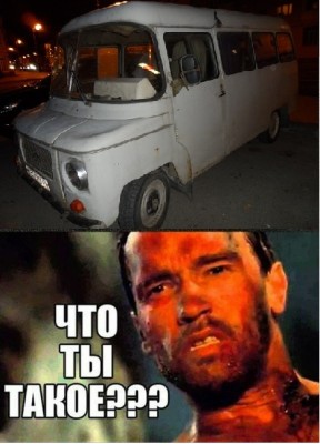 что ты такое.jpg