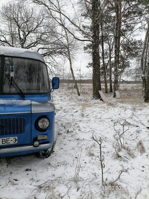 0_IMG_20250315_113158.jpg