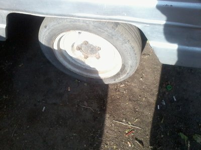 2016-09-17 09.41.53.jpg