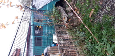 20201113_153011.jpg