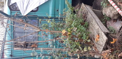 20201113_153017.jpg
