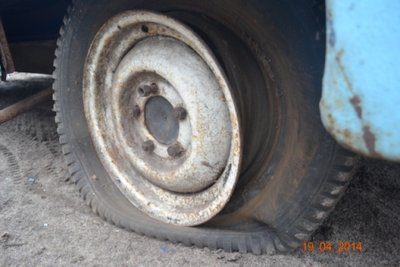 DSC_1311.JPG
