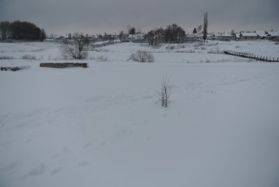 DSC_2703.JPG