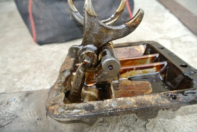 DSC_3612.JPG