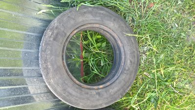WP_20170519_19_05_17_Pro.jpg