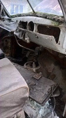 WP_20171021_08_18_55_Pro.jpg