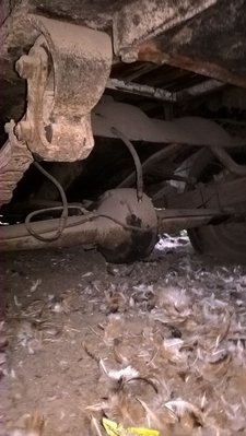 WP_20171021_08_20_37_Pro.jpg