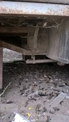 WP_20171021_08_27_28_Pro.jpg