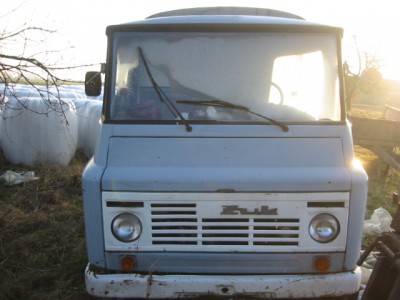 Zuk s tentom fas.jpg