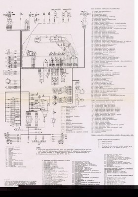 nysa 2_измен.размер.JPG