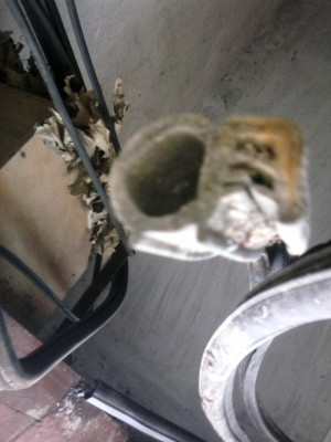 IMG_20160424_191716.jpg (499.79 КБ, 8095 просмотров) IMG_20160424_191716.jpg