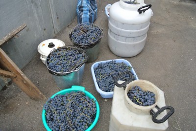 DSC_4109.jpg (37.81 КБ, 3392 просмотра) DSC_4109.jpg